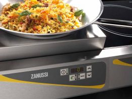 Easy cooking tops Easy cooking tops Zanussi Prodessional