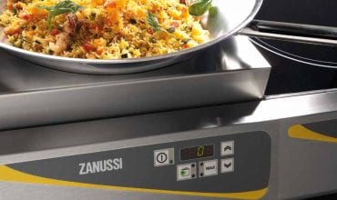 Easy cooking tops Zanussi Prodessional