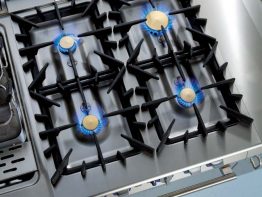 Flower Flame Zanussi Professional Flower Flame Zanussi Professional