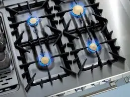 Blomsterflamme Zanussi Professional