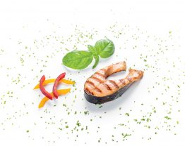 salmon_led_light salmon_led_light