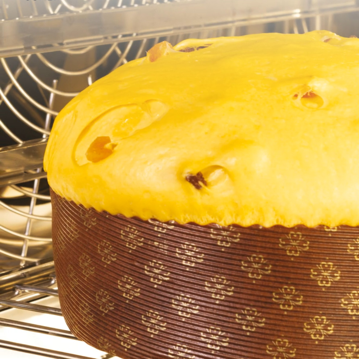 Panettone cooking inside Magistar combi oven