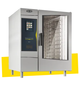 magistar-ovens-1-276x300-1